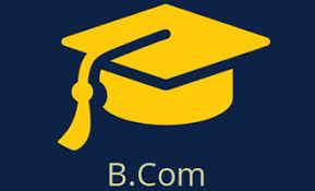 Christ University Bcom Professional Direct Admission